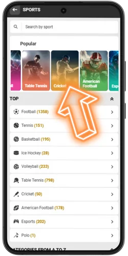 Click on the 'Cricket' button