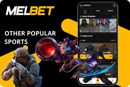 Other Popular Sports