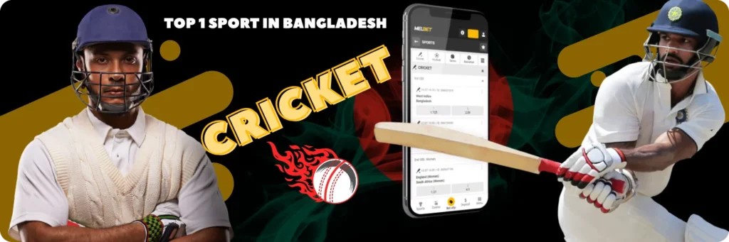 Why Bet on Cricket with Melbet?